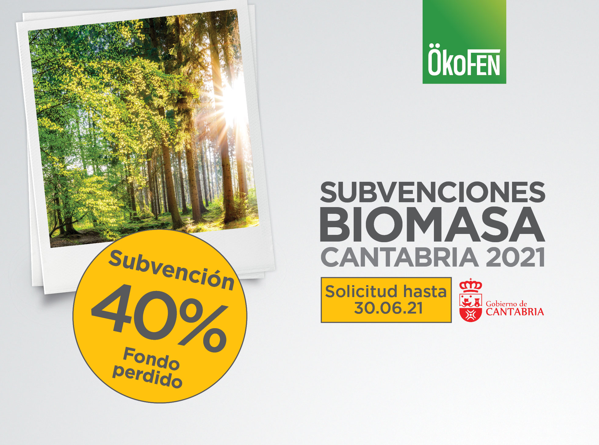 SUBVENCIONES BIOMASA CANTABRIA 2021